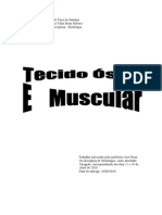 Tecido Osseo e Muscular (1)