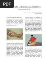 Introducao a Cinesiologia Holistica