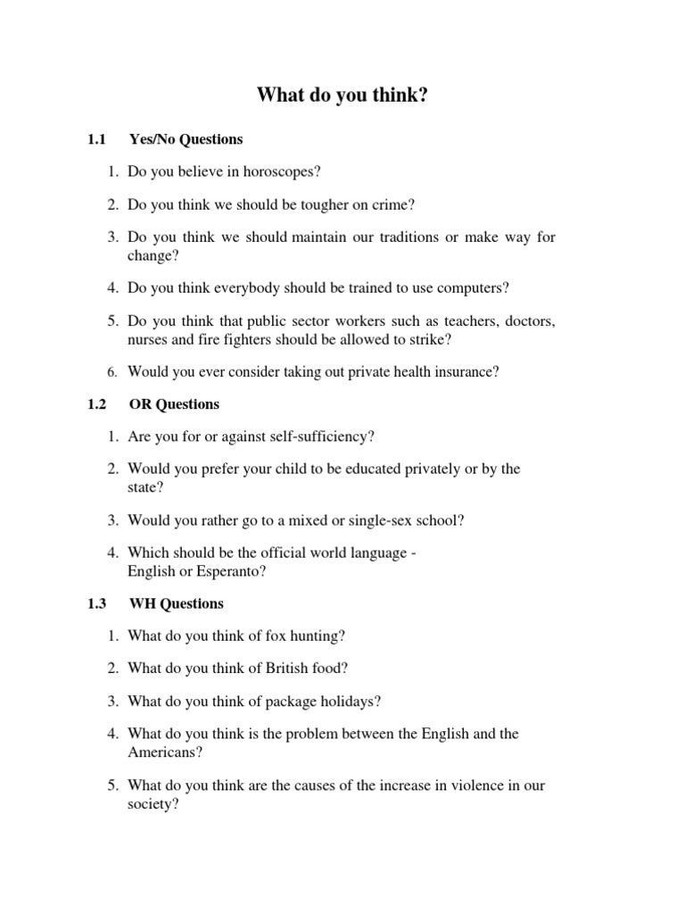 What Do You Think?: 1.1 Yes/No Questions | PDF