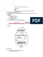 Tema5 bacteriofagos