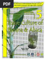 Download Tissue Culture by Eloisa Pedroso Espanola SN226080518 doc pdf