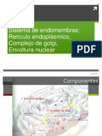 Rer-Golgi y Lisosomas