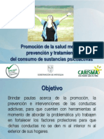 Presentacion Pautas Promocion