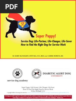 service dog academy