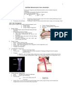sistempernapasa-padamanusia