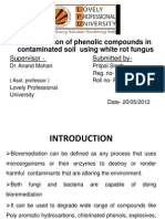 Dissertation PPT Sample