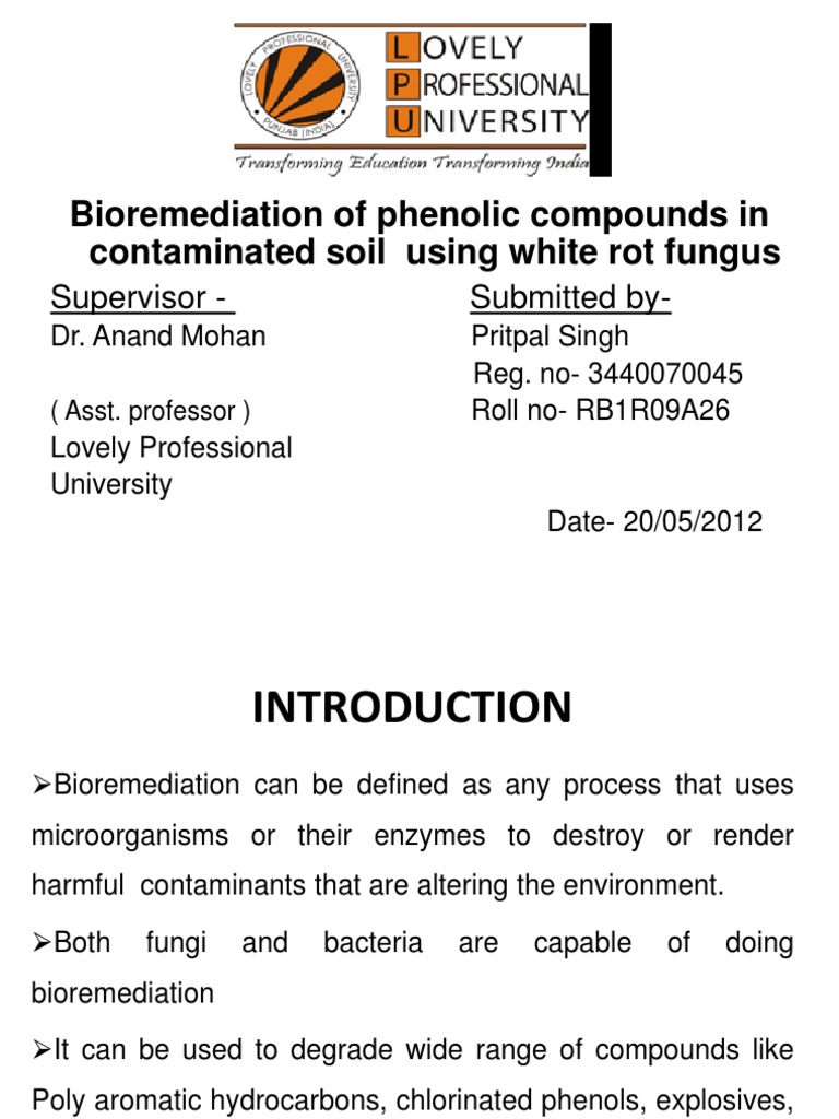 phd thesis on biodegradation