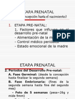 Etapa Prenatal