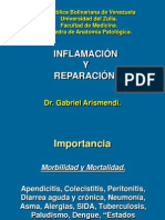 clasedeinflamacin2013-131006203818-phpapp01.pdf