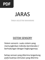 Jaras Sensorik