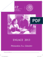 Enlace 13 5P