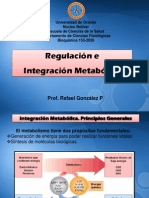 Tema 11, Reg e Integrac Metab Completo