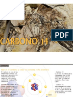 carbono 14