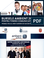 Workshop Bursele Ambient