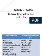 Module 2 - Connective Tissue Cells