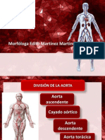 Anatomía de Las Arterias