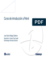 Curso Introductorio Petrel