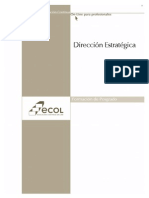 134202325-Direccion-Estrategica.pdf
