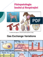 Fiziopatologia Pulmonului Si Respiratiei (1)