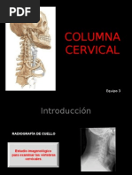 Download Columna Cervical y Dorsal by Minerva Garca G SN22620605 doc pdf