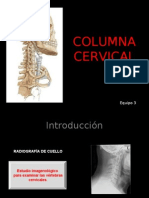 Columna Cervical y Dorsal
