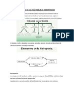 Fundamentos de La Hidroponia