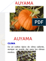 AHUYAMA