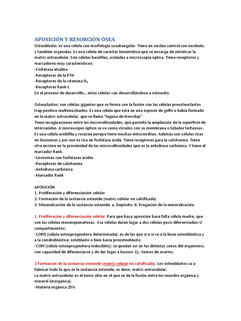 Aposición y Resorción Ósea: Proceso y Células | PDF | Osteoblastos ...