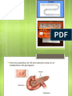 GLUCAGON