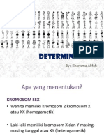 Determinasi Sex Ima