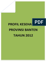 16 Profil Kes - Prov.banten 2012