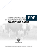 Bovinos de Carne PDF