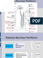 snp.ppt