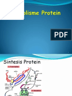 Anabolisme Protein