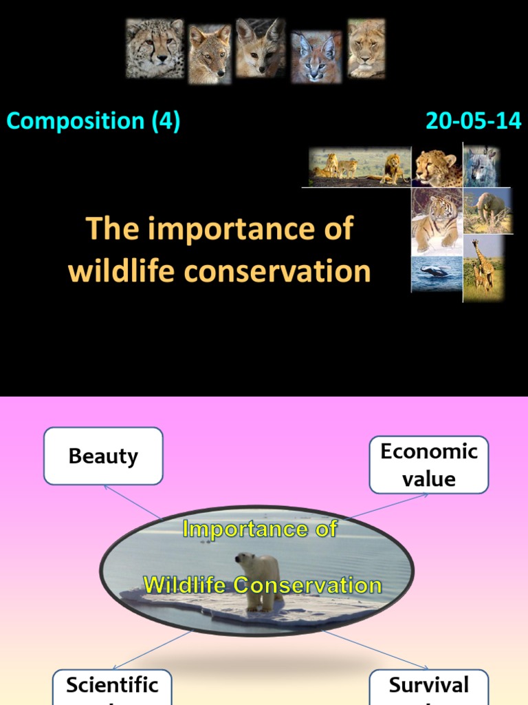 Essay on preservation of wildlife 250 words picture