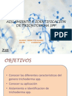 Aislamiento e identificación de Trichoderma spp