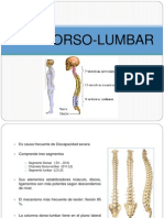 TVM (Dorso-Lumbar) 2