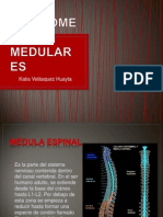 SINDROMES MEDULARES