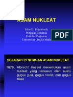 Asam Nukleat