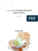 Anatomia Si Fiziologia Planseului Pelvin Feminin