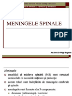 2. Meningele Spinale