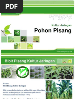Download Kultur Jaringan by Exsact J-male SN226435656 doc pdf