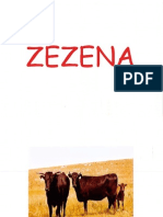 Zezena