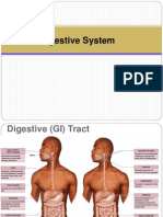Digestive System Overview: Organs, Functions & Histology