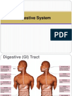 Curs 9. Sistemul Digestiv 1