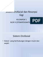 Sistem Orofacial Dan Resorpsi Gigi KEL 5. Fiks