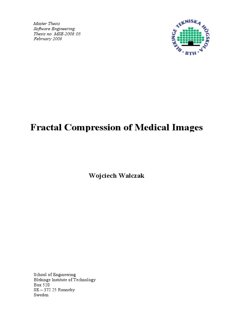 Fractal image compression plus thesis 07 picture