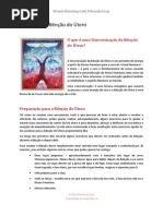 Conexão Com o Útero - Womb-Blessing-Introduction-portugues