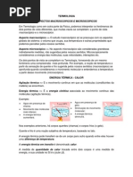 2º Ano Termologia.doc