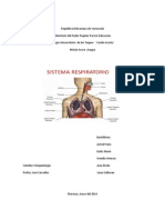 Informe de Sistema Respiratorio